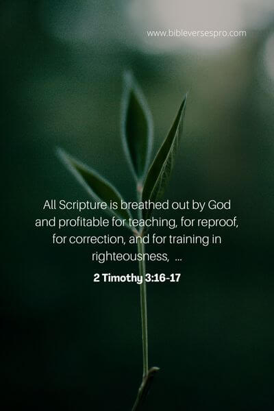 2 Timothy 3_16-17