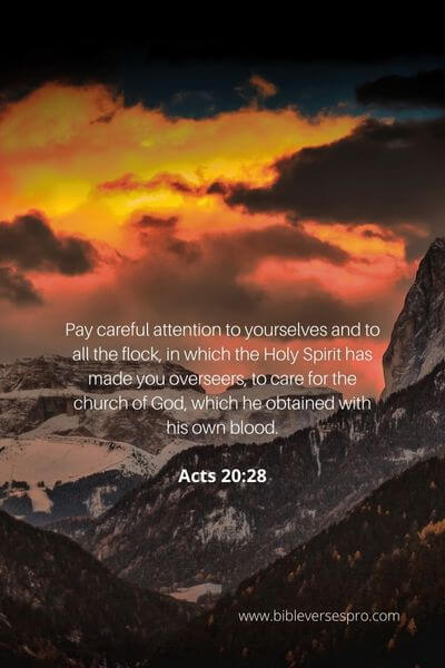 Acts 20_28