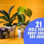 BIBLE VERSES ABOUT GROWTH AND CHANGE