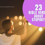 bible verses about stupidity