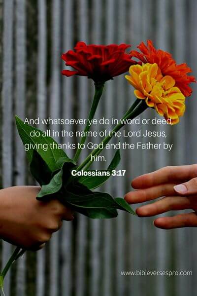 Colossians 3_17