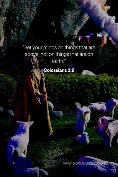 Colossians 3_2