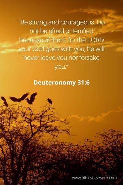 Deuteronomy 31_6