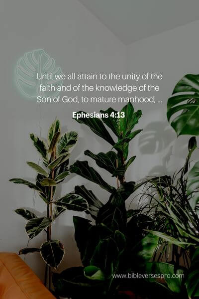 Ephesians 4_13 