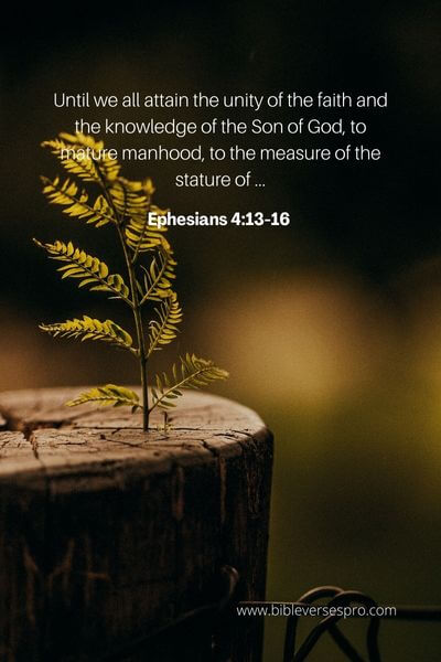 Ephesians 4_13-16 