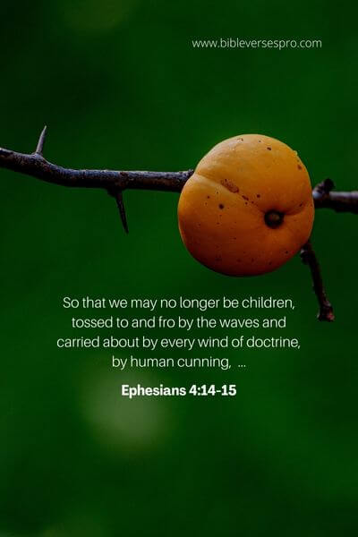 Ephesians 4_14-15