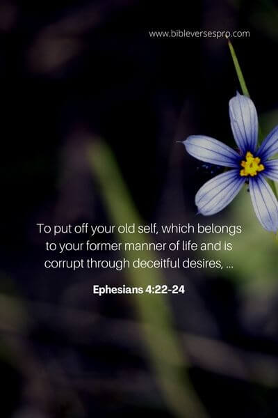 Ephesians 4_22-24