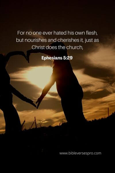 Ephesians 5_29 