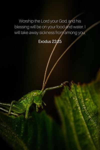 Exodus 23_25