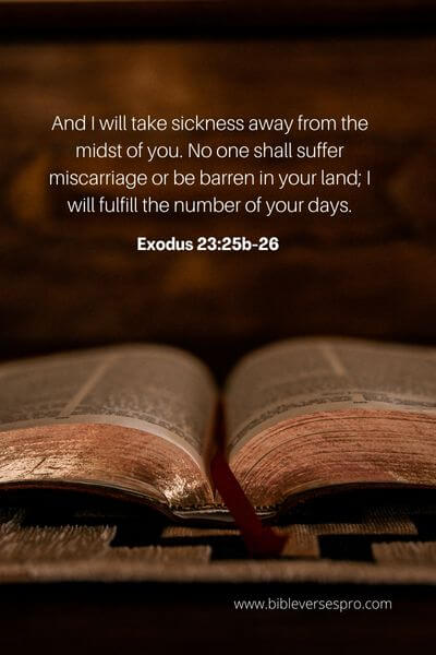 Exodus 23:25-26 - Have confidence. 