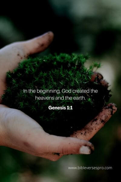 Genesis 1_1