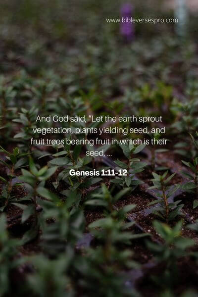 Genesis 1_11-12 