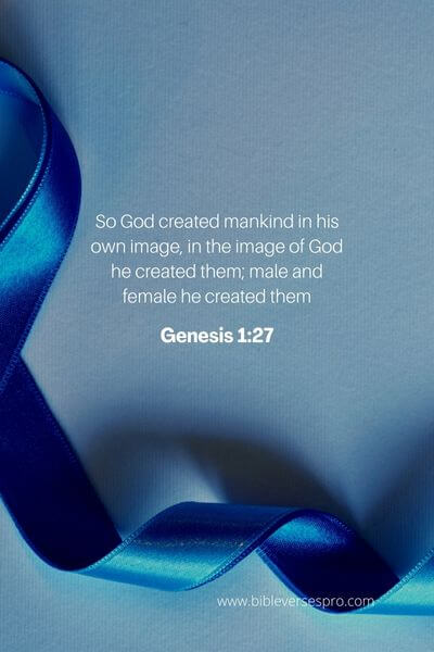 Genesis 1_27