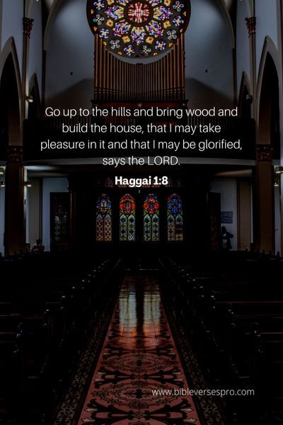 Haggai 1_8