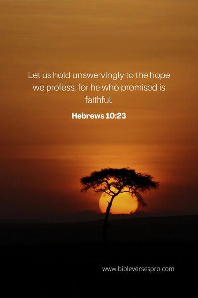 Hebrews 10_23