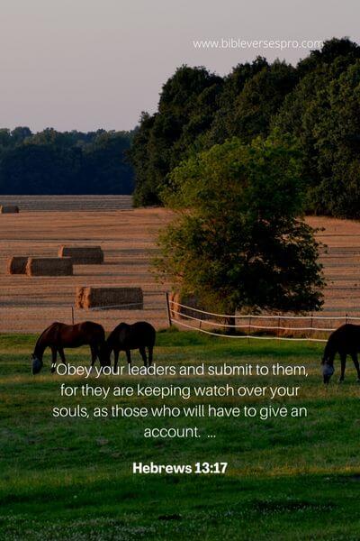 Hebrews 13_17
