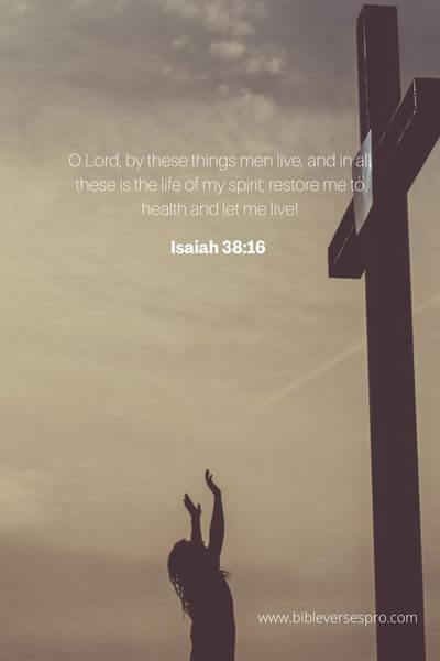 Isaiah 38:16 - Look Out For The Promises Of God.
