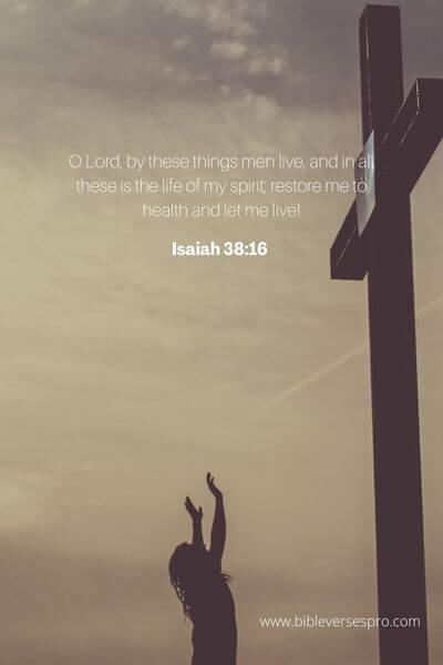 Isaiah 38:16 - Look out for the promises of God.
