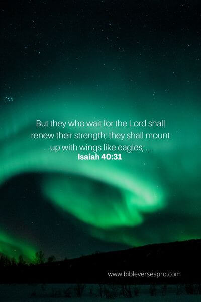 Isaiah 40_31 