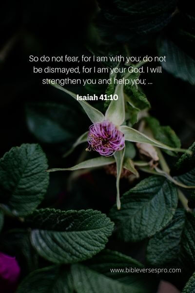 Isaiah 41_10