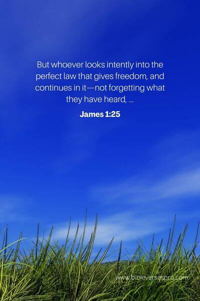 27 Bible Verses About Living Life To The Fullest James 1_25