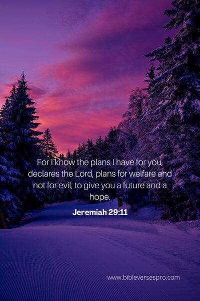 Jeremiah 29_11