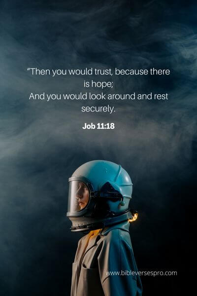 Job 11_18