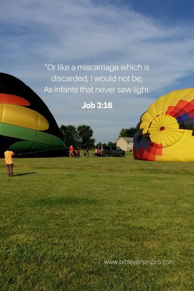 Job 3_16