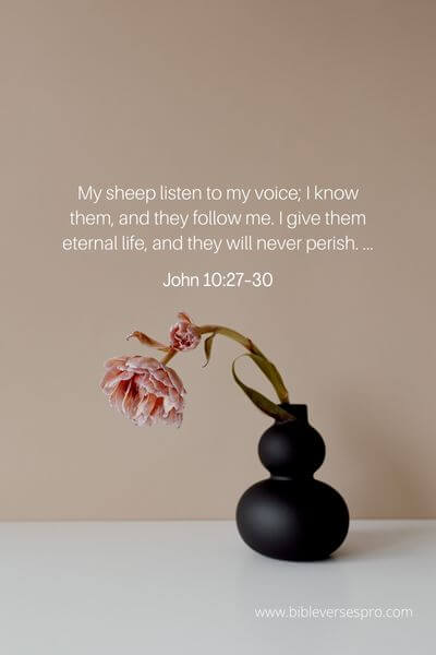 John 10_27-30