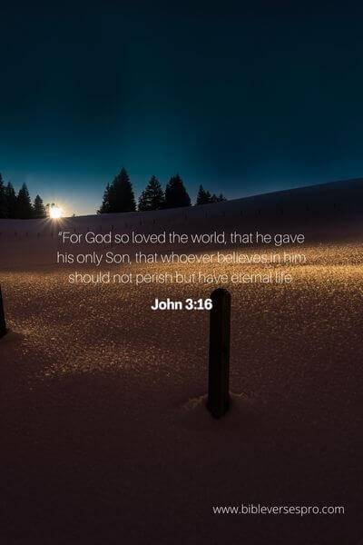 John 3_16