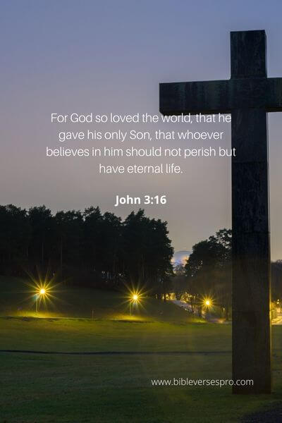 John 3_16