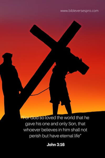 John 3_16