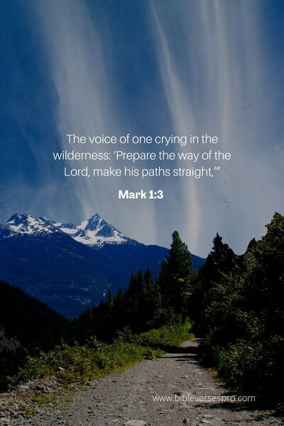 Mark 1_3 