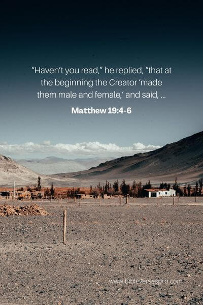 Matthew 19_4-6