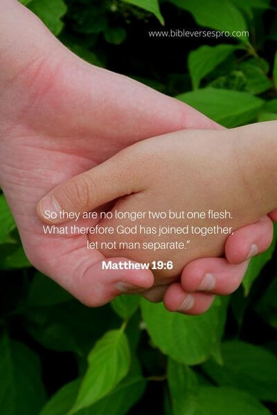 Matthew 19_6 