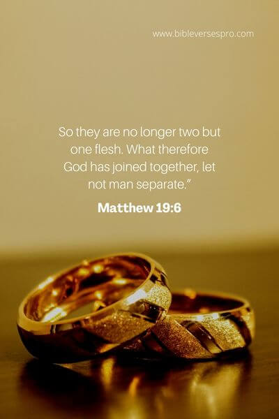 Matthew 19_6