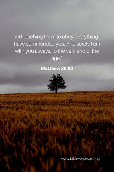 Matthew 28_20