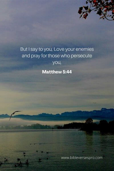 Matthew 5_44