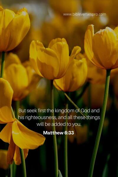 Matthew 6_33