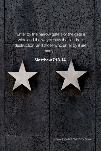 Matthew 7_13-14
