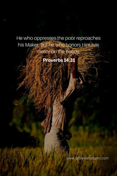 Proverbs 14_31