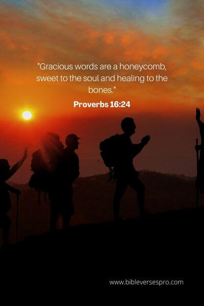 Proverbs 16_24