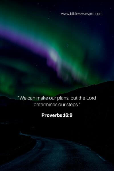 Proverbs 16_9