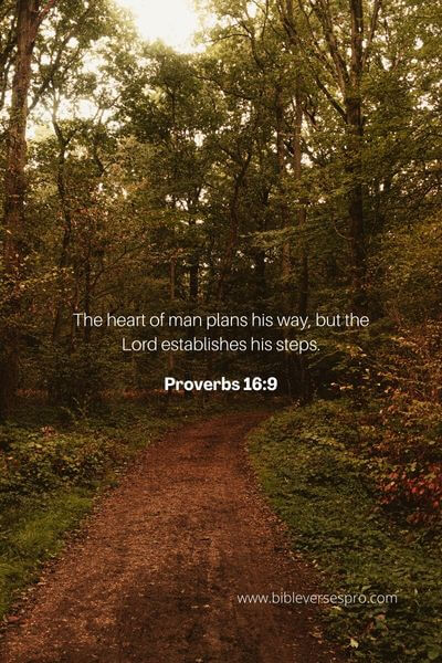 Proverbs 16_9