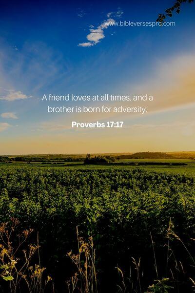 Proverbs 17_17