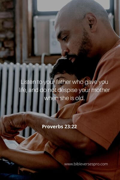 Proverbs 23_22