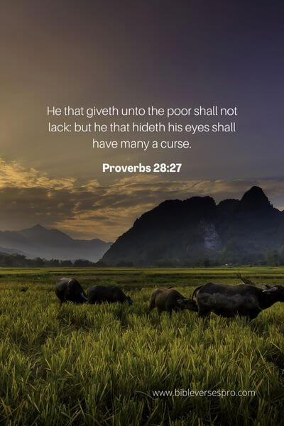 Proverbs 28_27
