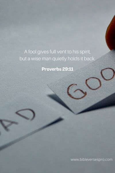 Proverbs 29_11