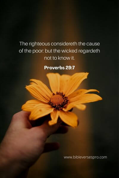 Proverbs 29_7