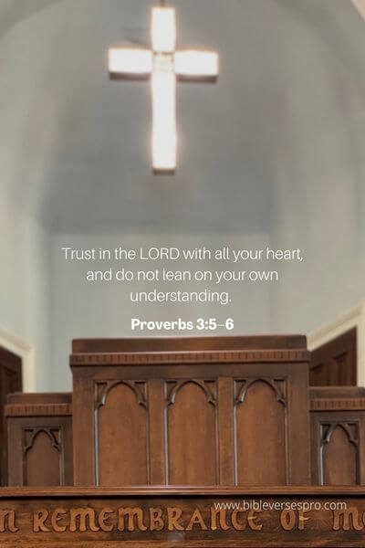 Proverbs 3_5–6